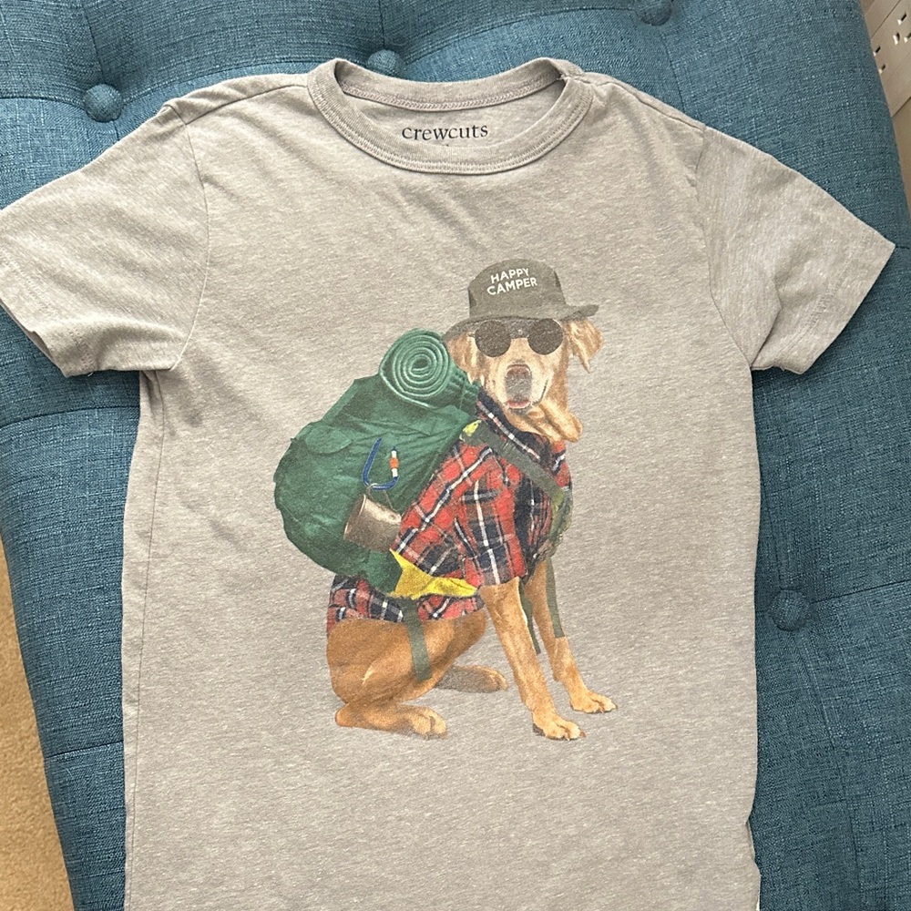 Crewcuts Gray Tee with Adventurous Dog Print